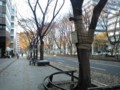 20081205113444