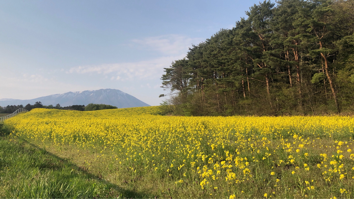 f:id:arit721:20190521111148p:plain