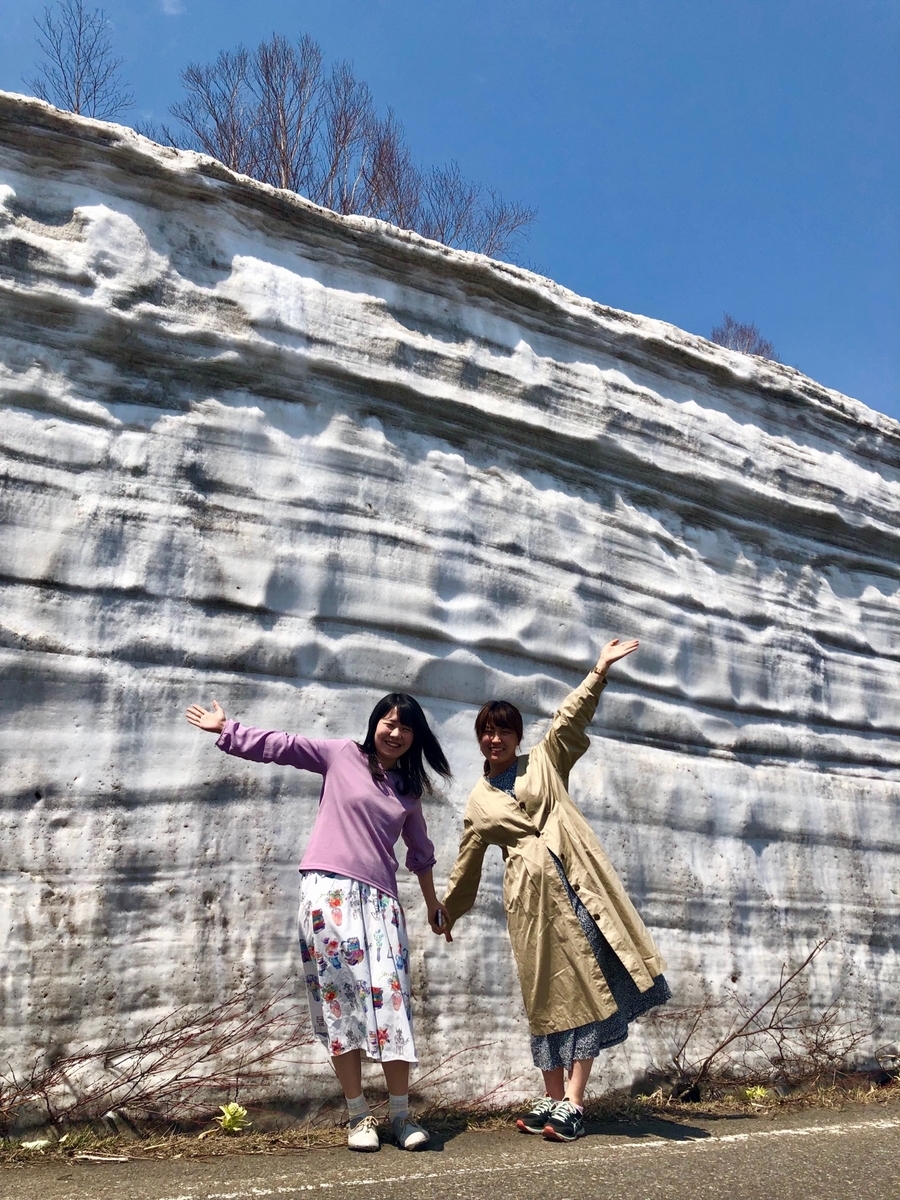 f:id:arit721:20190521142751j:plain