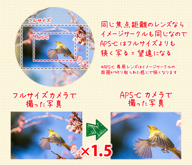 f:id:arityk:20160901121944j:plain f:id:arityk:20160901121944j:plain