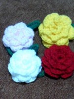 f:id:ariyoshi:20100627120428j:image:left f:id:ariyoshi:20100627120428j:image:left