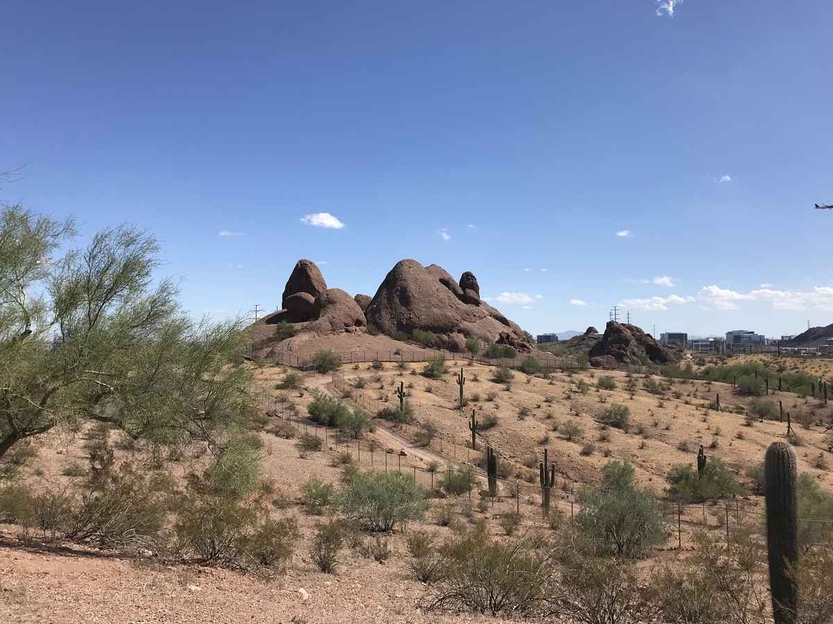 f:id:arizonadodeso:20200923083954j:plain