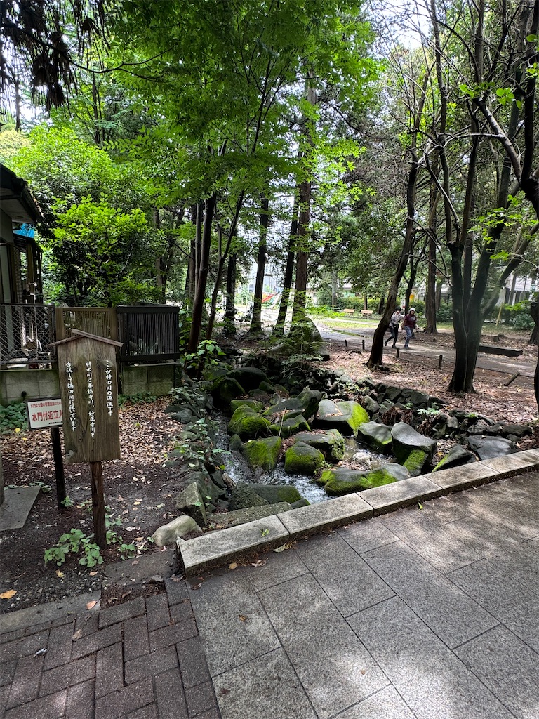 f:id:arjuna_study:20241122074255j:image