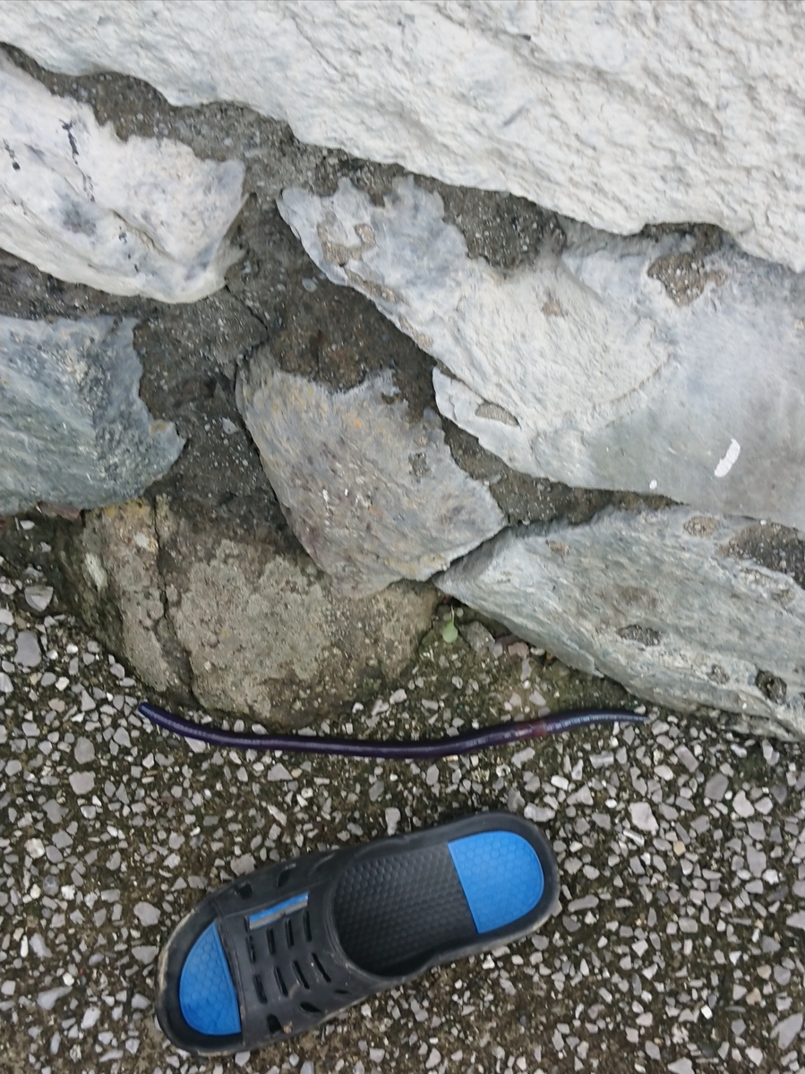 f:id:ark987:20190703172719j:plain