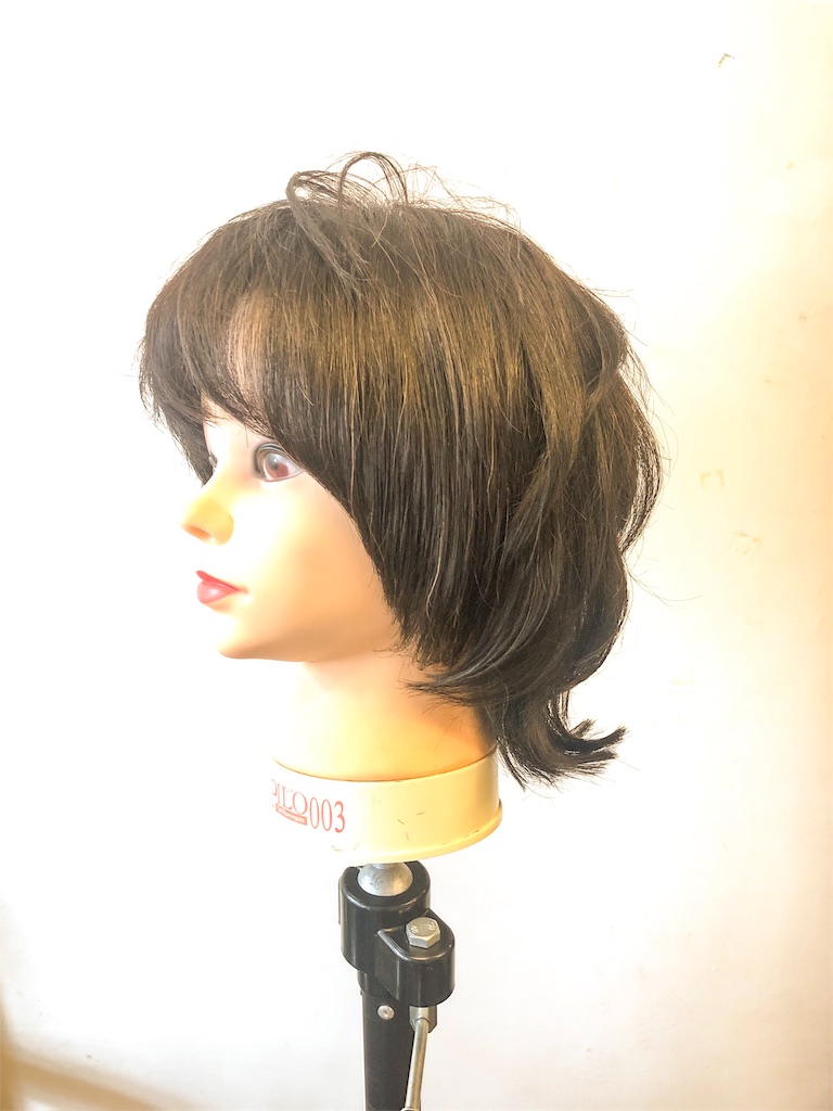 佐々木希のヘアスタイルから学ぶウルフカット 荒木ユウのよっしゃいけるブログ