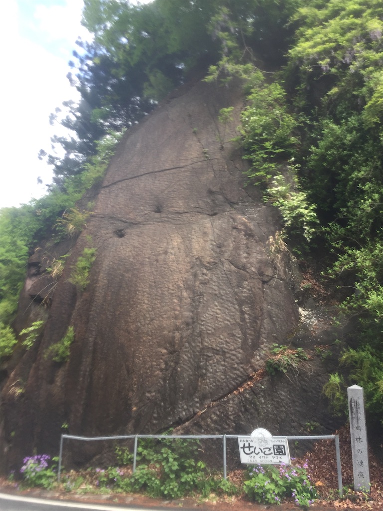 f:id:arkaeruna:20180517164807j:image