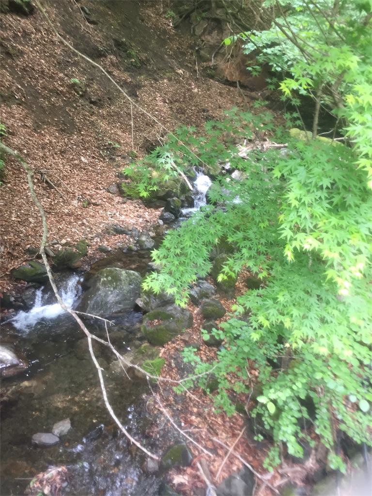 f:id:arkaeruna:20180614132315j:image