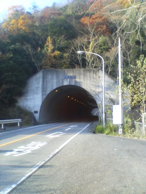 f:id:arkibito:20101205151646j:image