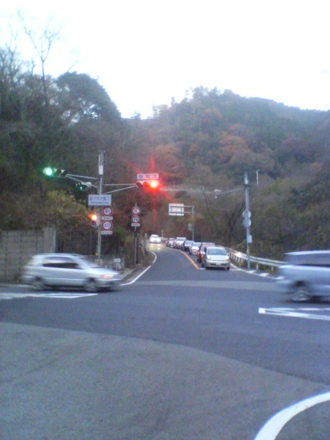 f:id:arkibito:20101205165002j:image