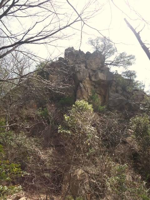 f:id:arkibito:20110410114904j:image