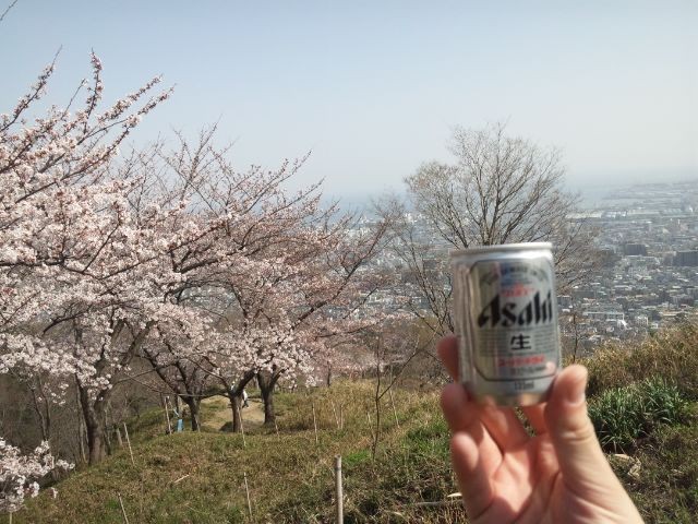 f:id:arkibito:20110410145752j:image