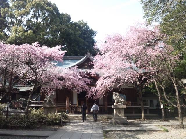 f:id:arkibito:20110410150846j:image