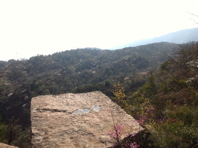 f:id:arkibito:20110424152814j:image:left