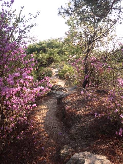 f:id:arkibito:20110424161736j:image:left