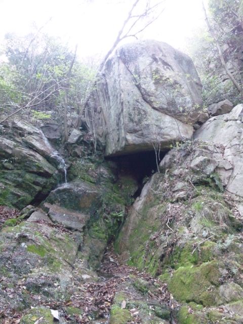 f:id:arkibito:20110424164054j:image:left