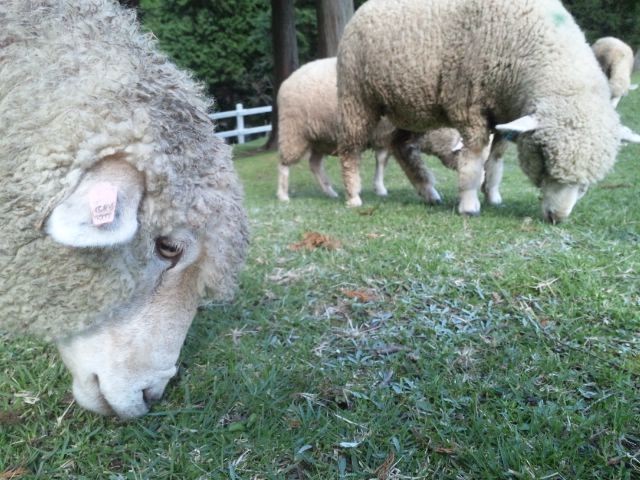 f:id:arkibito:20110923142723j:image:left f:id:arkibito:20110923142723j:image:left