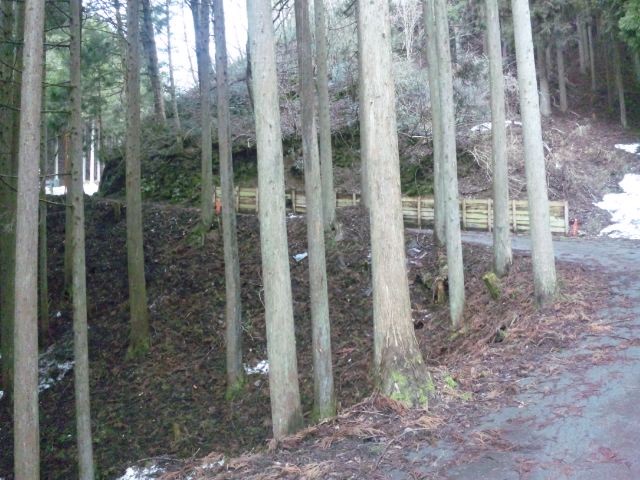 f:id:arkibito:20120310163512j:image:left
