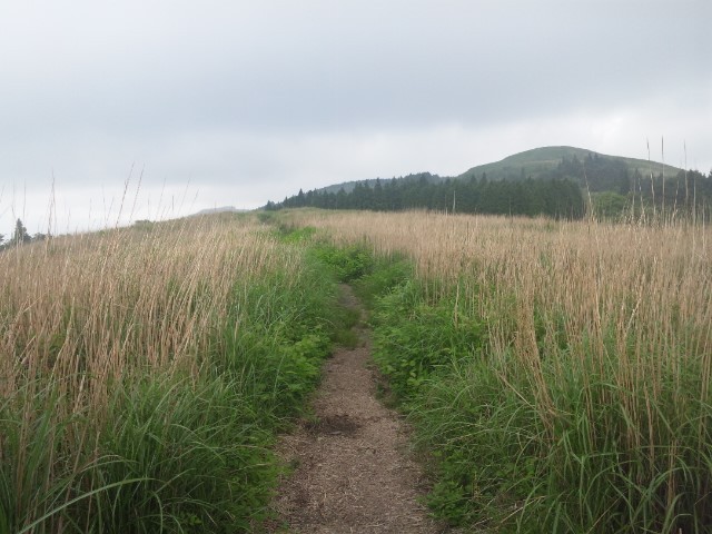 f:id:arkibito:20120610083120j:image:left f:id:arkibito:20120610083120j:image:left