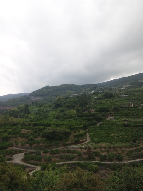 f:id:arkibito:20120610091003j:image:left