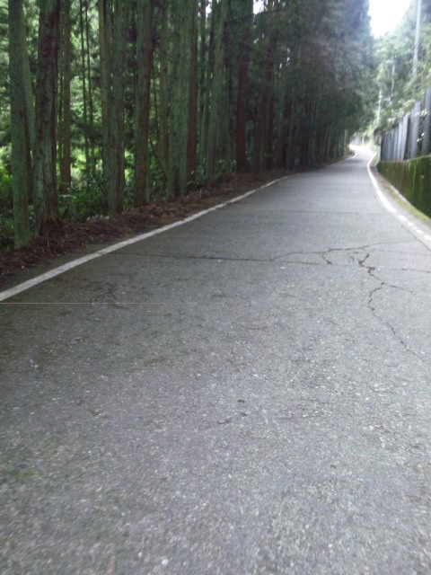 f:id:arkibito:20120610135444j:image:left