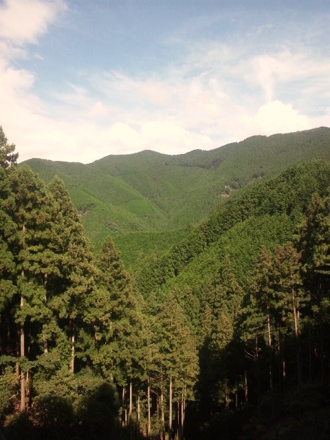 f:id:arkibito:20120909143613j:image:left