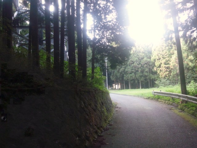 f:id:arkibito:20120913161013j:image:left