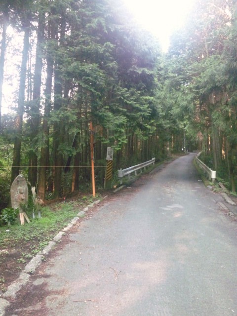 f:id:arkibito:20120913161136j:image:left