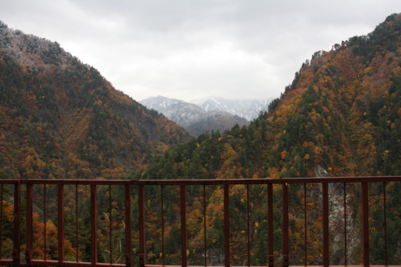 f:id:arkibito:20121102105027j:image:w640:left