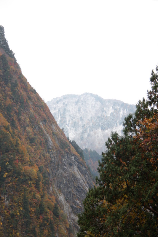 f:id:arkibito:20121102105047j:image:w640:left