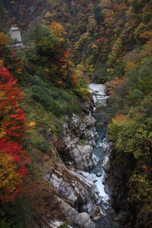 f:id:arkibito:20121102112310j:image:w640:left