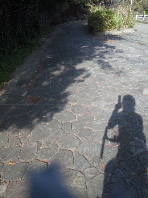 f:id:arkibito:20121104141645j:image:left