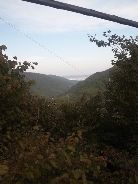 f:id:arkibito:20121104150119j:image:left