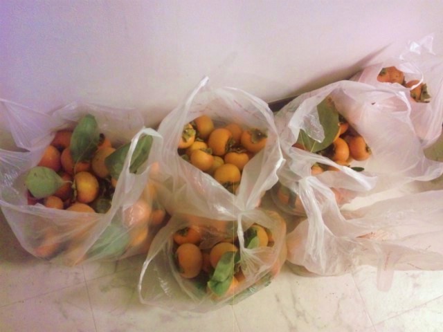 f:id:arkibito:20121123163609j:image:left