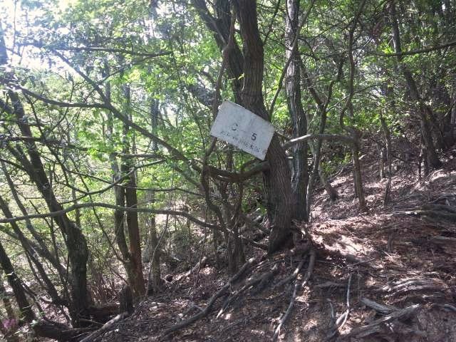 f:id:arkibito:20130526133606j:image:left