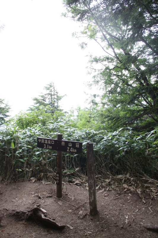 f:id:arkibito:20130810084544j:image:w640:left