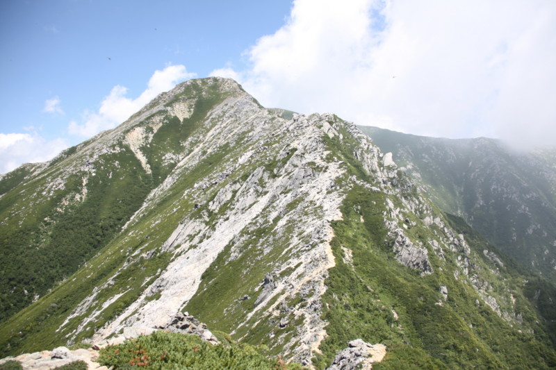 f:id:arkibito:20130811120217j:image:w640:left