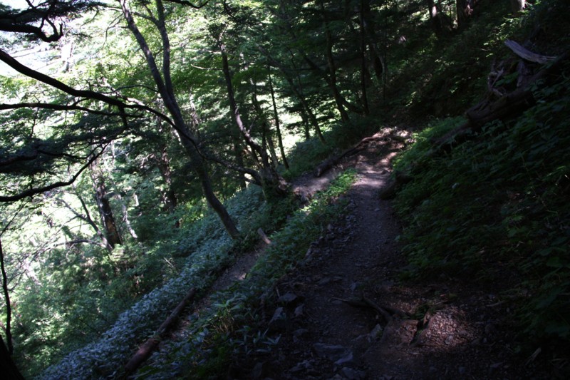 f:id:arkibito:20130812110856j:image:w640:left