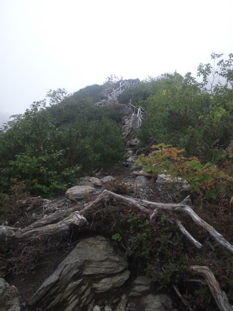 f:id:arkibito:20130907100231j:image:left