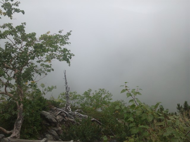 f:id:arkibito:20130907100357j:image:left