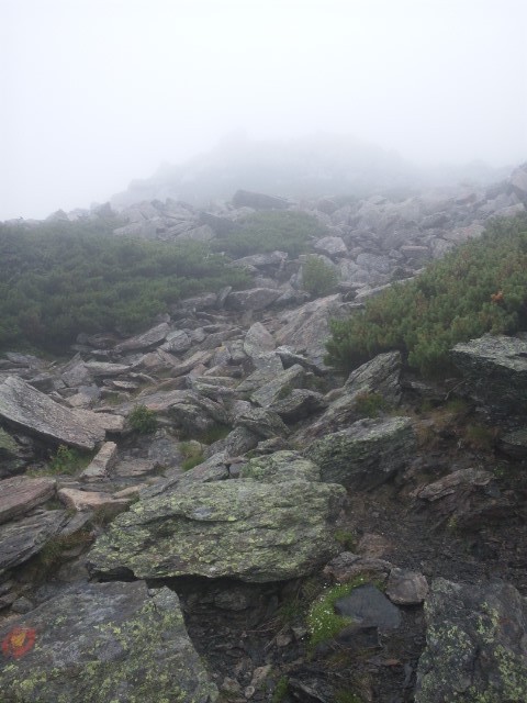 f:id:arkibito:20130907102935j:image:left