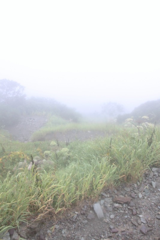 f:id:arkibito:20130908085549j:image:left