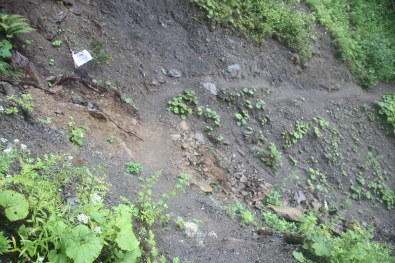 f:id:arkibito:20130908101220j:image:left