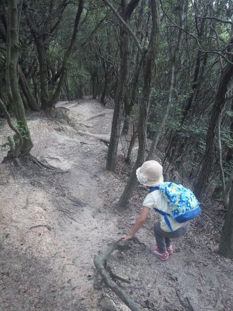 f:id:arkibito:20130914150605j:image:left