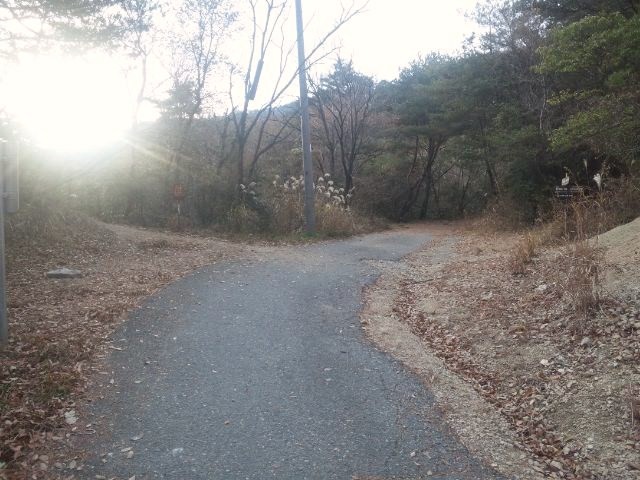 f:id:arkibito:20131208154015j:image:left