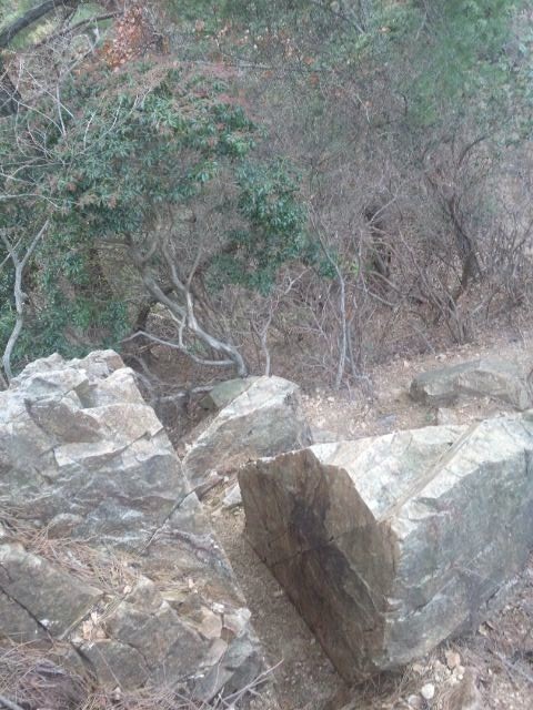 f:id:arkibito:20131208155255j:image:left