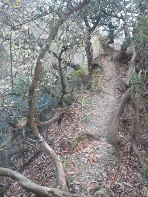 f:id:arkibito:20131208155525j:image:left