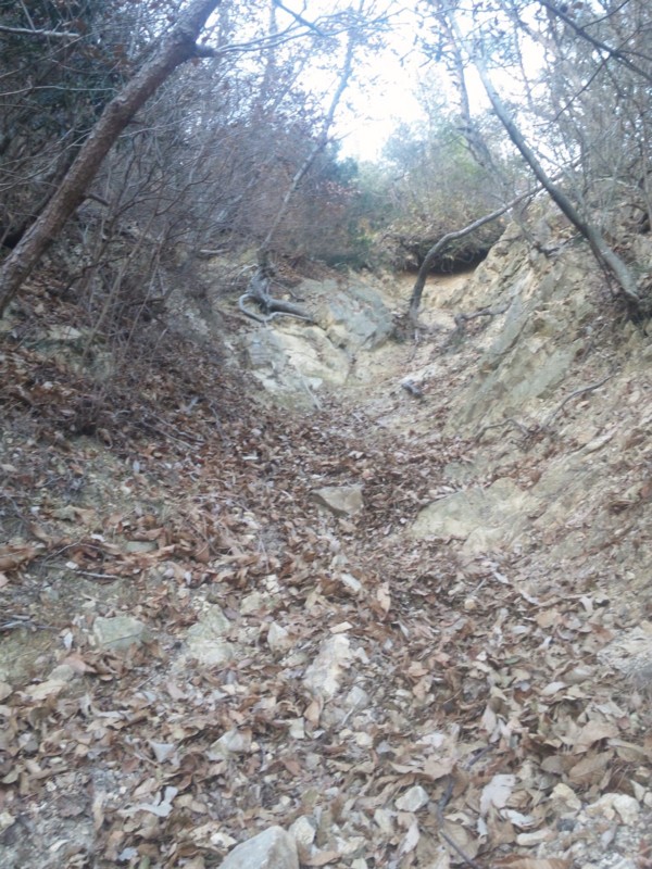 f:id:arkibito:20131208160558j:image:left