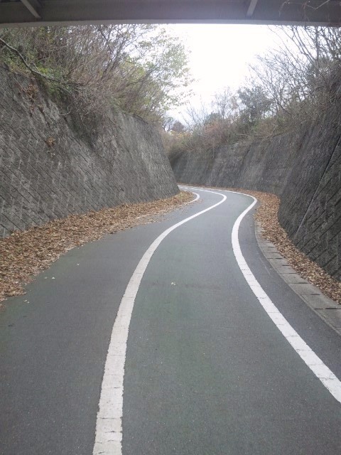 f:id:arkibito:20131222122816j:image:left