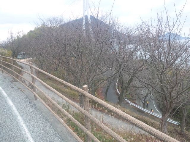 f:id:arkibito:20131222134159j:image:left