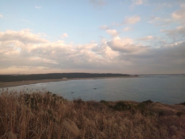 f:id:arkibito:20140112073251j:image:left